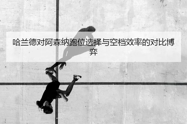 ha-lan-de-dui-a-sen-na-pao-wei-xuan-ze-yu-kong-dang-xiao-lv-de-dui-bi-bo-yi-2-360.jpg
